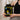 GN Whey Pure Protein 2kg