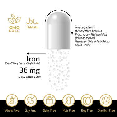 Fuel-Up Chelated Iron