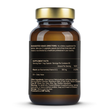 Fuel-Up Niacinamid 500 mg