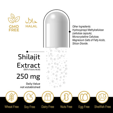Fuel-Up Shilajit Extract