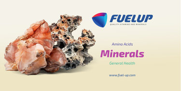 Fuel-Up Chelated Calcium Magnesium Zinc+D3